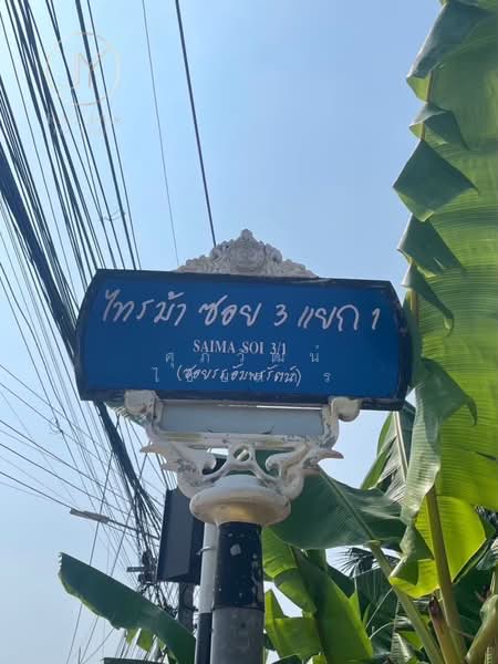 ที่ดินเปล่าถมแล้ว ทำเลศักยภาพ ซ.ไทรม้า 3 แยก 1 (ซ.ท่าอิฐ) จ.นนทบุรี, Nonthaburi, Sai Ma, Muang Nonthaburi, Nonthaburi, , 400 sqm, Land For Sale, by ศุภวัฒน์ ไชยสาร, 500441158 - DDproperty.com