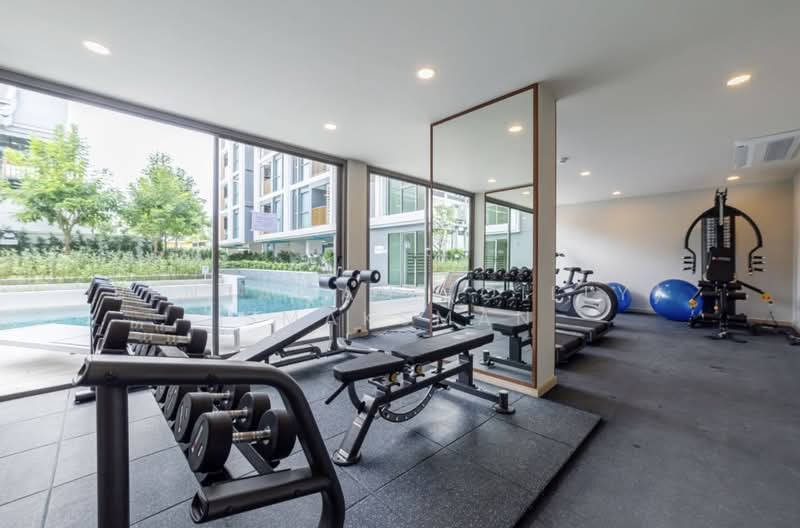 The Ozone Signature Condominium : ดิ โอโซน ซิกเนเจอร์ คอนโดมิเนียม, ภูเก็ต, เชิงทะเล, ถลาง, ภูเก็ต, 50 ตร.ม., คอนโด ให้เช่า, โดย Benjawan (Oilly) Smaksman, 500441243 - DDproperty.com