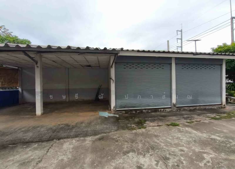 ที่ดินพร้อมตึกพาณิชย์ 2 ชั้นครึ่ง 3 คูหา 191 ตรว. ใกล้ รพ.เวียงป่าเป้า เชียงราย, Chiang Rai, ทล.118, Wiang, Wiang Pa Pao, Chiang Rai, , 500 sqm, Shophouse For Sale, by ฌัชษชี ฌัชปภาส์มณ, 500441245 - DDproperty.com