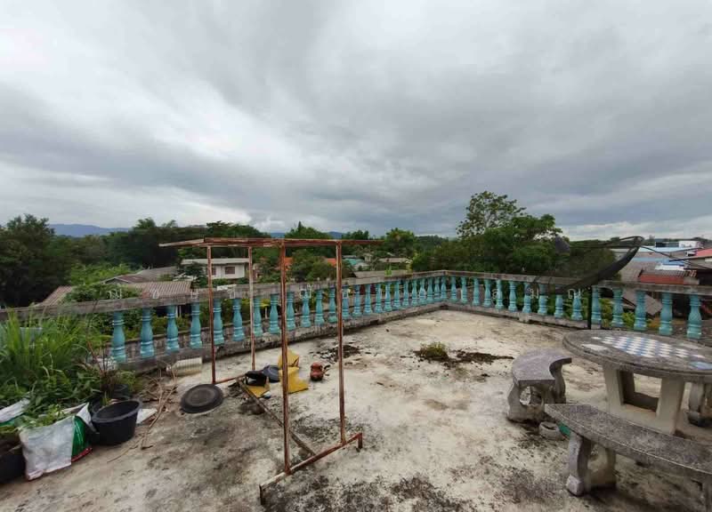 ที่ดินพร้อมตึกพาณิชย์ 2 ชั้นครึ่ง 3 คูหา 191 ตรว. ใกล้ รพ.เวียงป่าเป้า เชียงราย, Chiang Rai, ทล.118, Wiang, Wiang Pa Pao, Chiang Rai, , 500 sqm, Shophouse For Sale, by ฌัชษชี ฌัชปภาส์มณ, 500441245 - DDproperty.com
