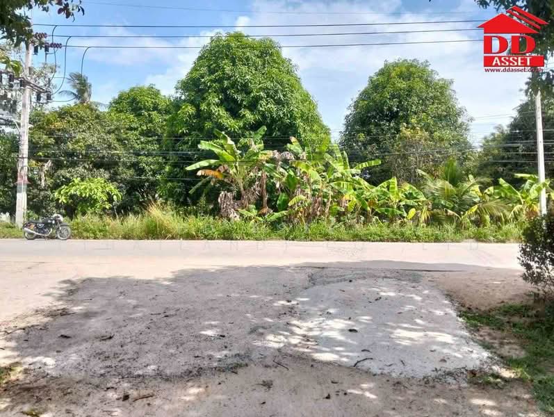 ขาย ที่ดินเปล่าติดถนน เกาะพงัน จ.สุราษฎร์ธานี รหัสทรัพย์ : L8074, สุราษฎร์ธานี, เกาะเต่า, เกาะพะงัน, สุราษฎร์ธานี, 5,600 ตร.ม., ที่ดิน ขาย, โดย DD Asset (Thailand) Co.,Ltd, 500441250 - DDproperty.com
