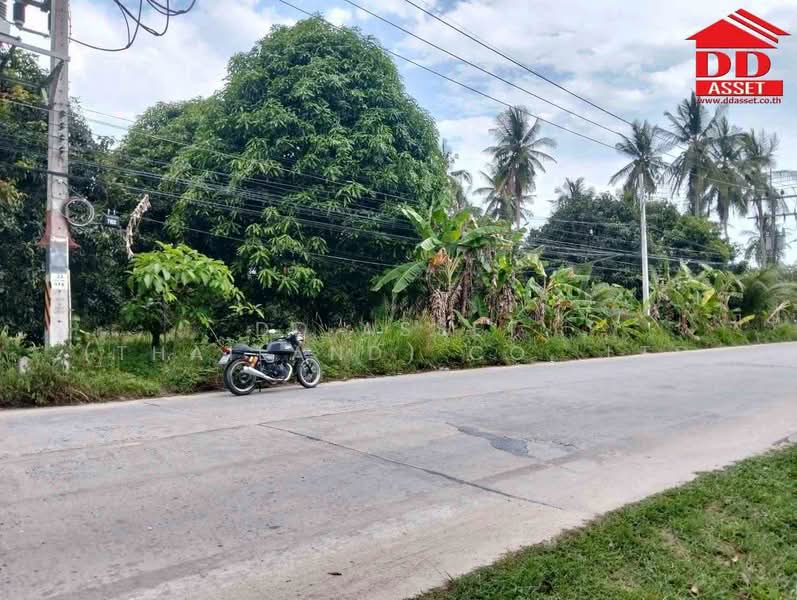 ขาย ที่ดินเปล่าติดถนน เกาะพงัน จ.สุราษฎร์ธานี รหัสทรัพย์ : L8074, สุราษฎร์ธานี, เกาะเต่า, เกาะพะงัน, สุราษฎร์ธานี, 5,600 ตร.ม., ที่ดิน ขาย, โดย DD Asset (Thailand) Co.,Ltd, 500441250 - DDproperty.com