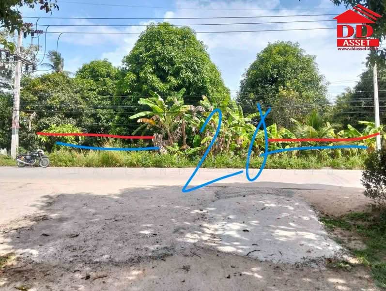 ขาย ที่ดินเปล่าติดถนน เกาะพงัน จ.สุราษฎร์ธานี รหัสทรัพย์ : L8074, สุราษฎร์ธานี, เกาะเต่า, เกาะพะงัน, สุราษฎร์ธานี, 5,600 ตร.ม., ที่ดิน ขาย, โดย DD Asset (Thailand) Co.,Ltd, 500441250 - DDproperty.com