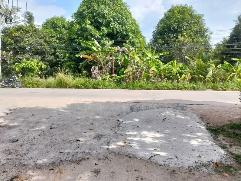 ขาย ที่ดินเปล่าติดถนน เกาะพงัน จ.สุราษฎร์ธานี รหัสทรัพย์ : L8074, Surat Thani, Ko Tao, Ko Phangan, Surat Thani, , 5,600 sqm, Land For Sale, by DD Asset (Thailand) Co.,Ltd, 500441250 - DDproperty.com
