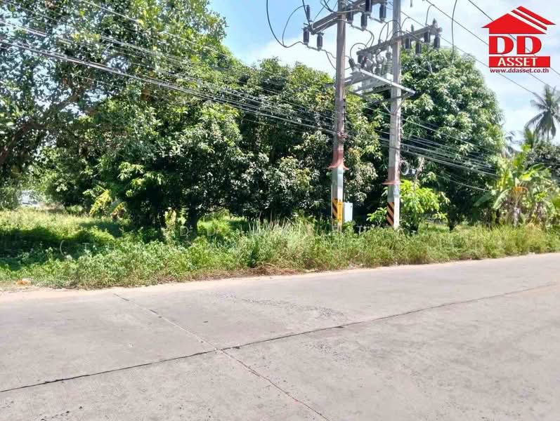 ขาย ที่ดินเปล่าติดถนน เกาะพงัน จ.สุราษฎร์ธานี รหัสทรัพย์ : L8074, สุราษฎร์ธานี, เกาะเต่า, เกาะพะงัน, สุราษฎร์ธานี, 5,600 ตร.ม., ที่ดิน ขาย, โดย DD Asset (Thailand) Co.,Ltd, 500441250 - DDproperty.com