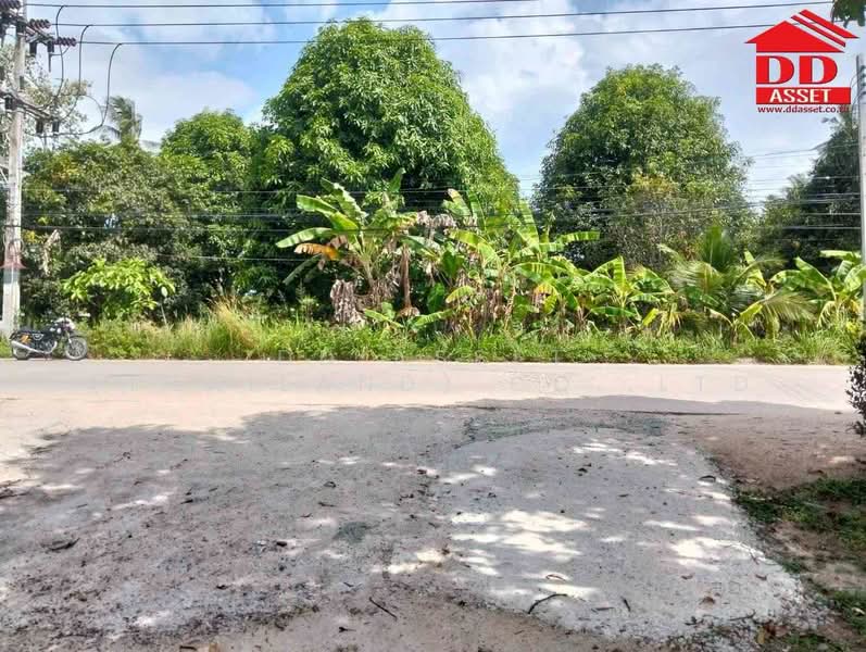 ขาย ที่ดินเปล่าติดถนน เกาะพงัน จ.สุราษฎร์ธานี รหัสทรัพย์ : L8074, สุราษฎร์ธานี, เกาะเต่า, เกาะพะงัน, สุราษฎร์ธานี, 5,600 ตร.ม., ที่ดิน ขาย, โดย DD Asset (Thailand) Co.,Ltd, 500441250 - DDproperty.com