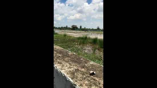 Lands for rent in Lam Luk Ka, Pathum Thani, คอลง 6, Bung Kham Proi, Lam Luk Ka, Pathum Thani, , 16,768 sqm, Warehouse/Factory For Rent, by Kanya Changmang, 500441288 - DDproperty.com