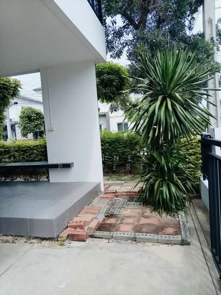 The Pana Petchkasem-Sai 3, Bangkok, Nakhon Lung Road, Bang Phai, Bang Khae, Bangkok, 3 Bedrooms, 180 sqm, Single Detached House For Sale, by Connex Property, 500441302 - DDproperty.com