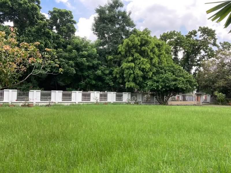Navatanee Residence, Bangkok, Navatanee Road, Ram Inthra, Khan Na Yao, Bangkok, 5 Bedrooms, 289 sqm, Single Detached House For Sale, by Connex Property, 500441415 - DDproperty.com
