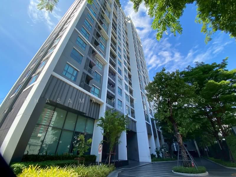 Life Sukhumvit 48 : ไลฟ์ สุขุมวิท 48, กรุงเทพ, ซอยสุขุมวิท 48, พระโขนง, คลองเตย, กรุงเทพ, 60 ตร.ม., คอนโด ให้เช่า, โดย Phasama Pheunpong, 500441420 - DDproperty.com