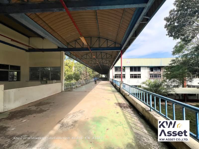 ขายที่ดิน 308 ไร่ แถมฟรีโรงงาน ที่ดินผังม่วงเข้ม #ติดถนน304 อ.ศรีมหาโพธิ จ.ปราจีนบุรี, ปราจีนบุรี, หัวหว้า, ศรีมหาโพธิ, ปราจีนบุรี, 50,549 ตร.ม., โกดัง-โรงงาน ขาย, โดย Prapassara Muangpin, 500441425 - DDproperty.com