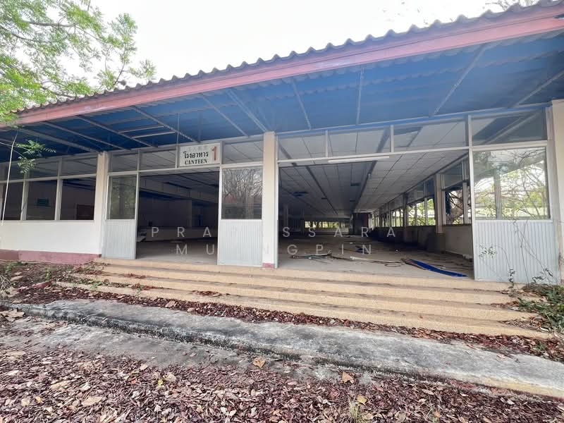 ขายที่ดิน 308 ไร่ แถมฟรีโรงงาน ที่ดินผังม่วงเข้ม #ติดถนน304 อ.ศรีมหาโพธิ จ.ปราจีนบุรี, ปราจีนบุรี, หัวหว้า, ศรีมหาโพธิ, ปราจีนบุรี, 50,549 ตร.ม., โกดัง-โรงงาน ขาย, โดย Prapassara Muangpin, 500441425 - DDproperty.com