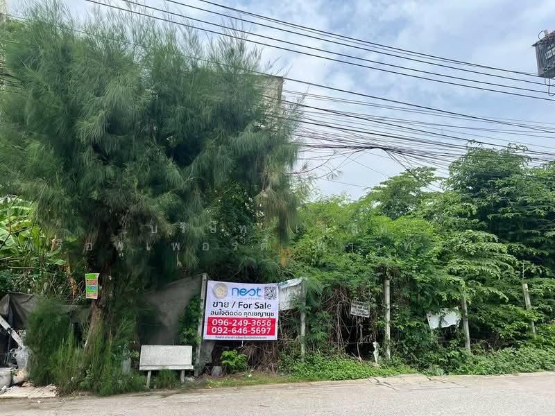 ขายที่ดิน 99 วา ราคา 5.7 ล้าน ซอยอ่อนนุช 66 ต่อรองได้, Bangkok, Suan Luang, Suan Luang, Bangkok, , 396 sqm, Land For Sale, by Nest Property Partner Co., Ltd., 500441438 - DDproperty.com