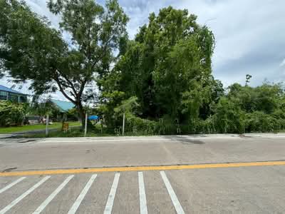 ขาย - ที่ดินเปล่า 722 ตร.ว. ที่ดิน ซอยวัดเวฬุวนาราม36, กรุงเทพ
