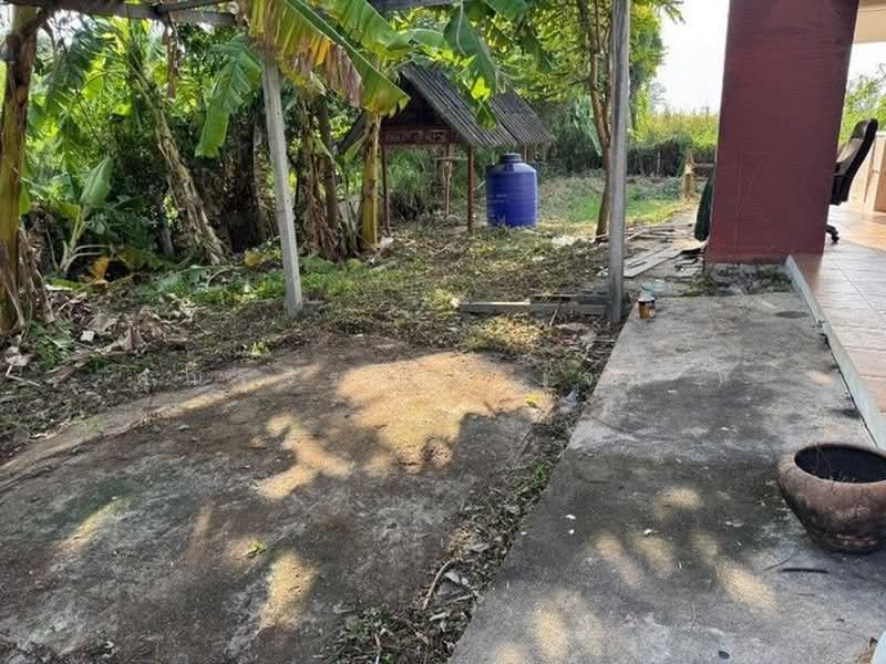 บ้านกล้วย-ไทรน้อย, Nonthaburi, บ้านกล้วย-ไทรน้อย, Sai Noi, Nonthaburi, 2 Bedrooms, 140 sqm, Single Detached House For Sale, by คุณรุจิรา ( เจน ), 500441570 - DDproperty.com