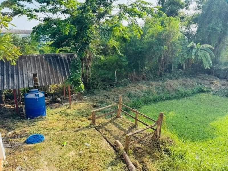 บ้านกล้วย-ไทรน้อย, นนทบุรี, บ้านกล้วย-ไทรน้อย, ไทรน้อย, นนทบุรี, 140 ตร.ม., บ้านเดี่ยว ขาย, โดย คุณรุจิรา ( เจน ), 500441570 - DDproperty.com