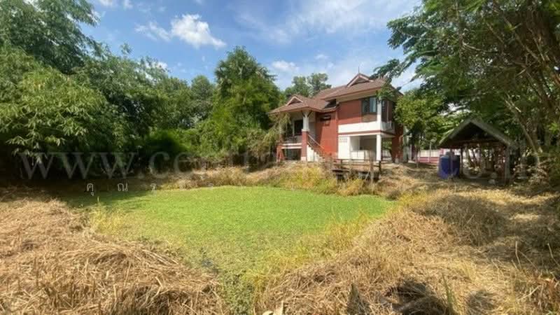 บ้านกล้วย-ไทรน้อย, Nonthaburi, บ้านกล้วย-ไทรน้อย, Sai Noi, Sai Noi, Nonthaburi, 2 Bedrooms, 140 sqm, Single Detached House For Sale, by คุณรุจิรา ( เจน ), 500441570 - DDproperty.com