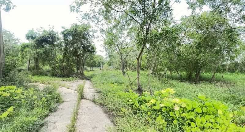 ที่ดินเปล่า 323 ตร.ว. ที่ดิน ใกล้สุ รีสอร์ท ซอยคลองสี่10 (หมู่6), Pathum Thani, ถนนรังสิต-นครนายก, Khlong Si, Khlong Luang, Pathum Thani, , 1,292 sqm, Land For Sale, by คุณ ณัฏฐฌาภัส แก้วเมืองน้อย (เฌอ), 500441582 - DDproperty.com