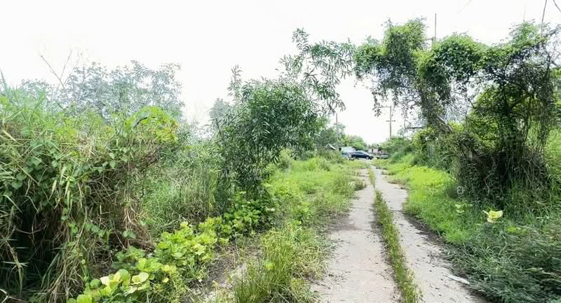 ที่ดินเปล่า 323 ตร.ว. ที่ดิน ใกล้สุ รีสอร์ท ซอยคลองสี่10 (หมู่6), Pathum Thani, ถนนรังสิต-นครนายก, Khlong Si, Khlong Luang, Pathum Thani, , 1,292 sqm, Land For Sale, by คุณ ณัฏฐฌาภัส แก้วเมืองน้อย (เฌอ), 500441582 - DDproperty.com