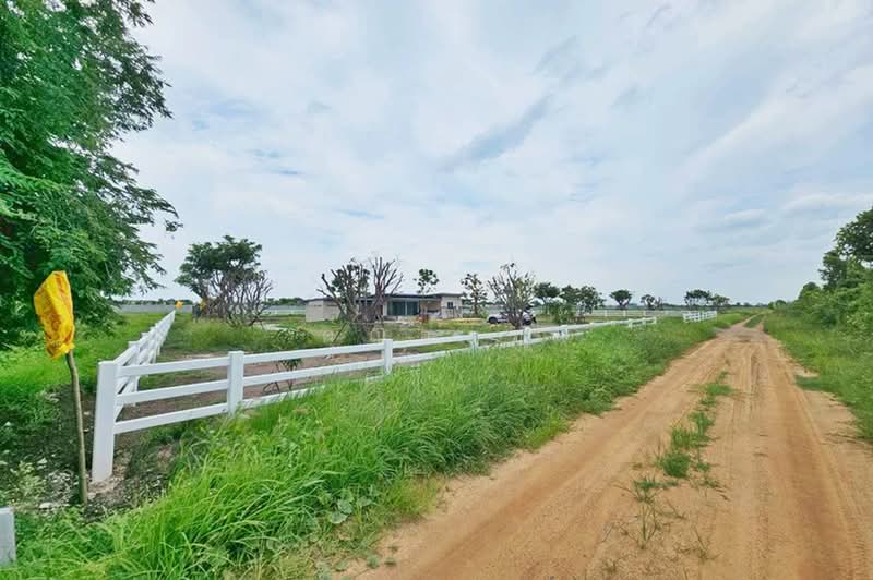 ลำลูกกา คลอง 11, ปทุมธานี, บึงคอไห, ลำลูกกา, ปทุมธานี, 2,415 ตร.ม., ที่ดิน ขาย, โดย คุณจอย, 500441598 - DDproperty.com