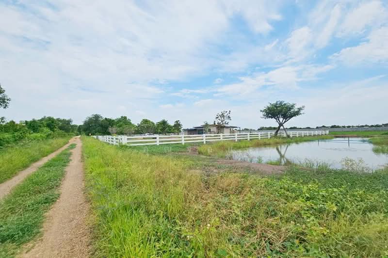 ลำลูกกา คลอง 11, ปทุมธานี, บึงคอไห, ลำลูกกา, ปทุมธานี, 2,415 ตร.ม., ที่ดิน ขาย, โดย คุณจอย, 500441598 - DDproperty.com