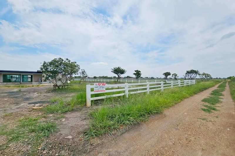 ลำลูกกา คลอง 11, ปทุมธานี, บึงคอไห, ลำลูกกา, ปทุมธานี, 2,415 ตร.ม., ที่ดิน ขาย, โดย คุณจอย, 500441598 - DDproperty.com