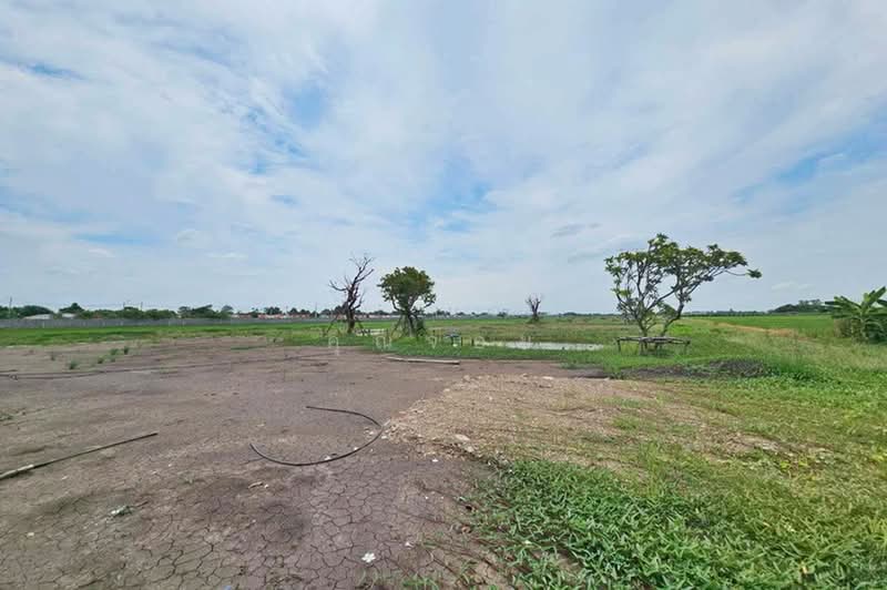 ลำลูกกา คลอง 11, ปทุมธานี, บึงคอไห, ลำลูกกา, ปทุมธานี, 2,415 ตร.ม., ที่ดิน ขาย, โดย คุณจอย, 500441598 - DDproperty.com