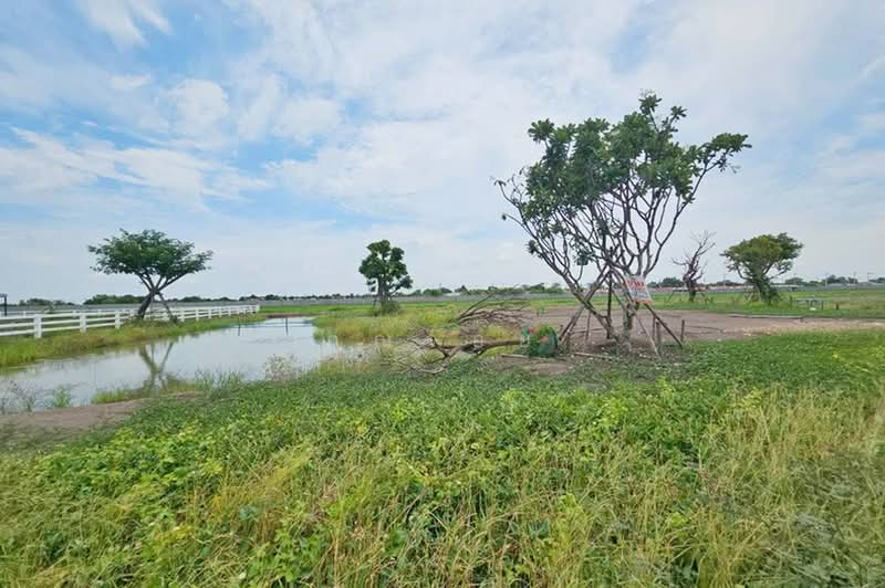 ลำลูกกา คลอง 11, Pathum Thani, Bung Khohai, Lam Luk Ka, Pathum Thani, , 2,415 sqm, Land For Sale, by คุณจอย, 500441598 - DDproperty.com