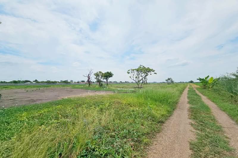 ลำลูกกา คลอง 11, ปทุมธานี, บึงคอไห, ลำลูกกา, ปทุมธานี, 2,415 ตร.ม., ที่ดิน ขาย, โดย คุณจอย, 500441598 - DDproperty.com