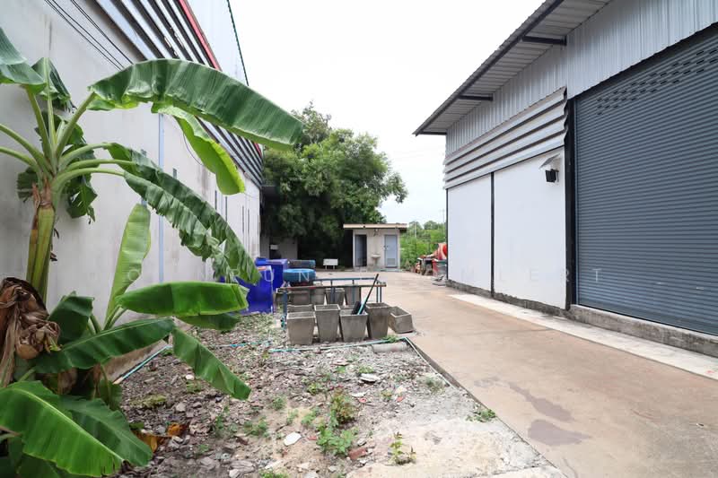 ให้เช่าโกดังพร้อมออฟฟิศ 320 ตร.ม. ติดถนนสุขุมวิทสาย 332 พัทยา–สัตหีบ ชลบุรี ใกล้สนามบินอู่ตะเภา, ชลบุรี, บางเสร่, สัตหีบ, ชลบุรี, 320 ตร.ม., โกดัง-โรงงาน ให้เช่า, โดย Pornpun Promlert, 500441649 - DDproperty.com