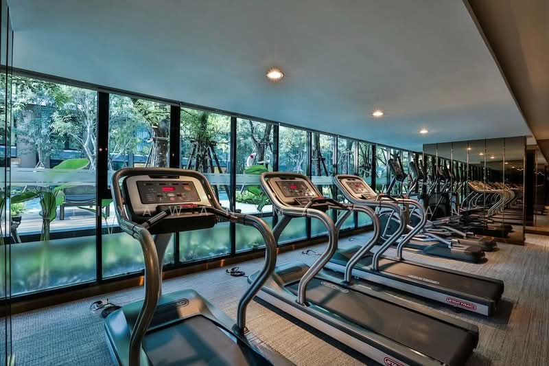 Vtara Sukhumvit 36, Bangkok, 118 Soi Saen Sabai, Phra Kanong, Khlong Toei, Bangkok, 2 Bedrooms, 60 sqm, Condo For Rent, by Piyawan Maiyapan, 500441743 - DDproperty.com