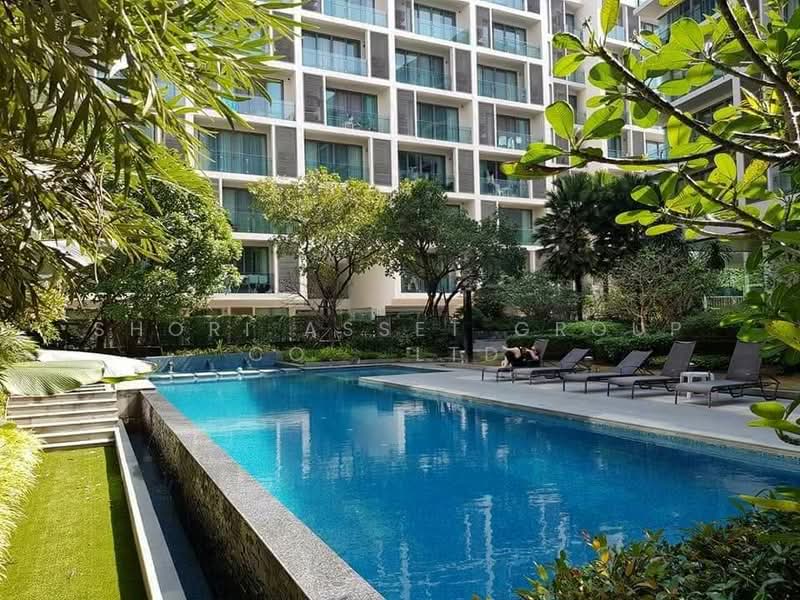 The Nimmana, Chiang Mai, Nimmana Haeminda Rd Soi 6, Su Thep, Muang Chiang Mai, Chiang Mai, 1 Bedroom, 45 sqm, Condo For Rent, by Shori Asset Group Co., Ltd., 500441755 - DDproperty.com