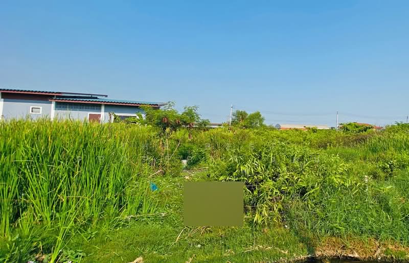 ที่ดินบ้านบ่อ สมุทรสาคร, Samut Sakhon, Ban Bo, Muang Samut Sakhon, Samut Sakhon, , 400 sqm, Land For Sale, by The Best Property แอน, 500441759 - DDproperty.com
