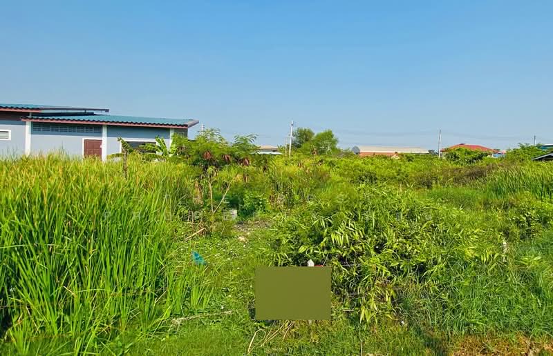 ที่ดินบ้านบ่อ สมุทรสาคร, Samut Sakhon, Ban Bo, Muang Samut Sakhon, Samut Sakhon, , 400 sqm, Land For Sale, by The Best Property แอน, 500441759 - DDproperty.com