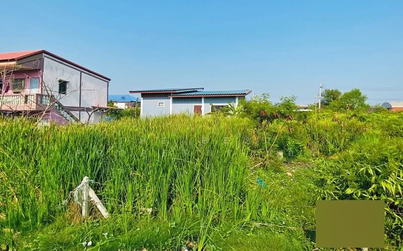 ที่ดินบ้านบ่อ สมุทรสาคร, สมุทรสาคร, บ้านบ่อ, เมืองสมุทรสาคร, สมุทรสาคร, 400 ตร.ม., ที่ดิน ขาย, โดย The Best Property แอน, 500441759 - DDproperty.com