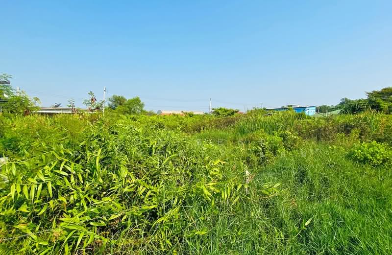 ที่ดินบ้านบ่อ สมุทรสาคร, Samut Sakhon, Ban Bo, Muang Samut Sakhon, Samut Sakhon, , 400 sqm, Land For Sale, by The Best Property แอน, 500441759 - DDproperty.com