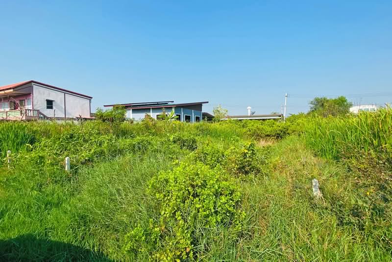 ที่ดินบ้านบ่อ สมุทรสาคร, Samut Sakhon, Ban Bo, Muang Samut Sakhon, Samut Sakhon, , 400 sqm, Land For Sale, by The Best Property แอน, 500441759 - DDproperty.com
