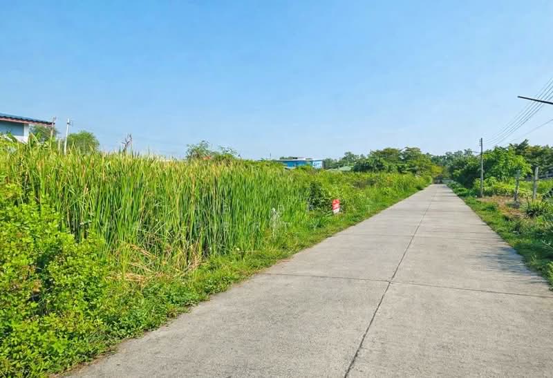 ที่ดินบ้านบ่อ สมุทรสาคร, สมุทรสาคร, บ้านบ่อ, เมืองสมุทรสาคร, สมุทรสาคร, 400 ตร.ม., ที่ดิน ขาย, โดย The Best Property แอน, 500441759 - DDproperty.com
