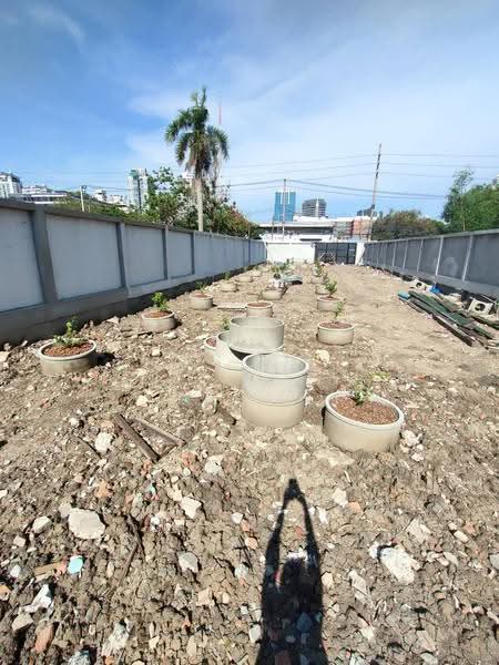 ที่ดินให้เช่า เอกมัย สุขุมวิท พระราม 4 : Land for rent in Ekkamai, Sukhumvit, and Rama IV, กรุงเทพ, พระโขนง, คลองเตย, กรุงเทพ, 720 ตร.ม., Land ให้เช่า, โดย TOAH T., 500441812 - DDproperty.com