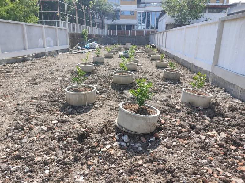 ที่ดินให้เช่า เอกมัย สุขุมวิท พระราม 4 : Land for rent in Ekkamai, Sukhumvit, and Rama IV, กรุงเทพ, พระโขนง, คลองเตย, กรุงเทพ, 720 ตร.ม., Land ให้เช่า, โดย TOAH T., 500441812 - DDproperty.com