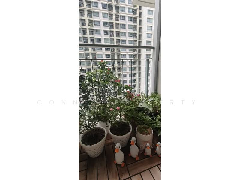 Lumpini Park Riverside Rama 3, Bangkok, 4 Rama 3 Road, Bang Pong Pang, Yan Nawa, Bangkok, 1 Bedroom, 29 sqm, Condo For Sale, by Connex Property, 500441864 - DDproperty.com