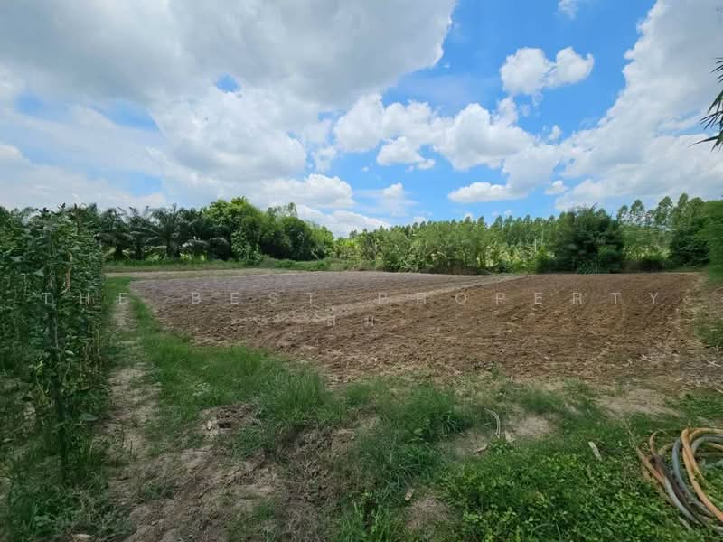ที่ดินพนัสนิคม ชลบุรี, Chon Buri (Pattaya), Mon Nang, Phanat Nikhom, Chon Buri (Pattaya), , 4,800 sqm, Land For Sale, by The Best Property ส้ม, 500441913 - DDproperty.com