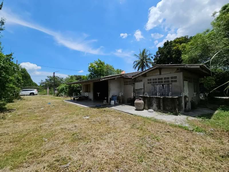 ที่ดินพนัสนิคม ชลบุรี, Chon Buri (Pattaya), Mon Nang, Phanat Nikhom, Chon Buri (Pattaya), , 4,800 sqm, Land For Sale, by The Best Property ส้ม, 500441913 - DDproperty.com