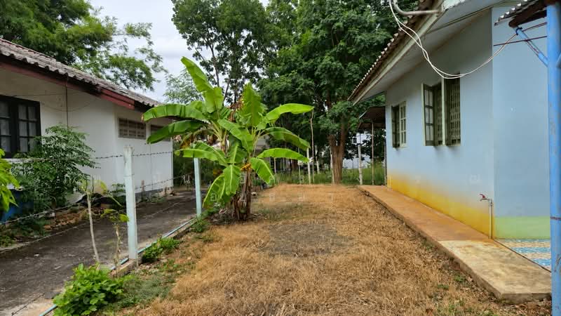 บ้านเดี่ยวทางหลวงชนบท นม.3052, Nakhon Ratchasima, Mu Si, Pak Chong, Nakhon Ratchasima, 2 Bedrooms, 440 sqm, Single Detached House For Sale, by ภัทรนัน อิศรางกูร ณ อยุธยา, 500441938 - DDproperty.com