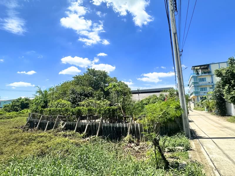 Vacant Land 51.2 sq.w. Sakmongkolchai Soi 1(Sakae Ngam 14), Rama 2, Bangkok, พระราม2, Samae Dam, Bang Khun Thian, Bangkok, , 205 sqm, Land For Sale, by HOMEPLUS REALTY - คุณกุ๊กไก่, 500441967 - DDproperty.com
