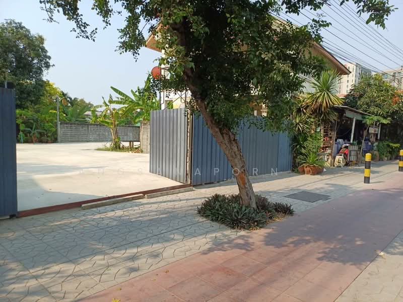 ที่ดินเปล่า 576 ตร.วา ทำเลศักยภาพ ติดถนนเทพรักษ์ (ตัดใหม่), Bangkok, Khlong Tanon, Sai Mai, Bangkok, , 2,304 sqm, Land For Sale, by Angsanaporn D, 500441971 - DDproperty.com