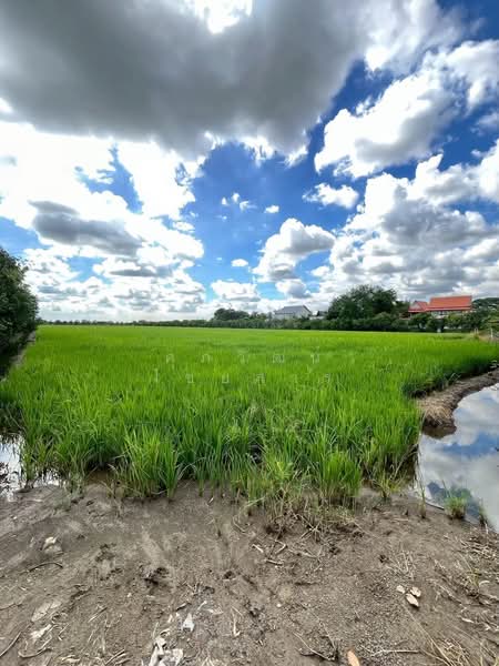 ที่ดินเปล่า ซอยวัดต้นเชือก–จงถนอม ถนนวัดต้นเชือก–จงถนอม ตำบลบางใหญ่ อำเภอบางใหญ่ จังหวัดนนทบุรี, นนทบุรี, วัดต้นเชือก–จงถนอม, บางใหญ่, นนทบุรี, 33,728 ตร.ม., ที่ดิน ขาย, โดย ศุภวัฒน์ ไชยสาร, 500442109 - DDproperty.com