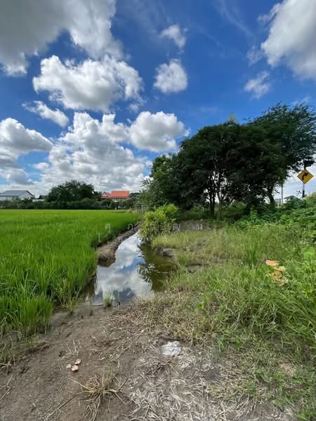 ที่ดินเปล่า ซอยวัดต้นเชือก–จงถนอม ถนนวัดต้นเชือก–จงถนอม ตำบลบางใหญ่ อำเภอบางใหญ่ จังหวัดนนทบุรี, นนทบุรี, วัดต้นเชือก–จงถนอม, บางใหญ่, นนทบุรี, 33,728 ตร.ม., ที่ดิน ขาย, โดย ศุภวัฒน์ ไชยสาร, 500442109 - DDproperty.com
