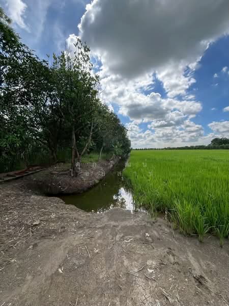 ที่ดินเปล่า ซอยวัดต้นเชือก–จงถนอม ถนนวัดต้นเชือก–จงถนอม ตำบลบางใหญ่ อำเภอบางใหญ่ จังหวัดนนทบุรี, นนทบุรี, วัดต้นเชือก–จงถนอม, บางใหญ่, นนทบุรี, 33,728 ตร.ม., ที่ดิน ขาย, โดย ศุภวัฒน์ ไชยสาร, 500442109 - DDproperty.com