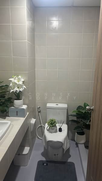 Fak Khao Pode (Corn Condominium), Bangkok, 4 Soi Ramkhamhaeng 40, Hua Mak, Bang Kapi, Bangkok, 2 Bedrooms, 53 sqm, Condo For Sale, by Connex Property, 500442344 - DDproperty.com